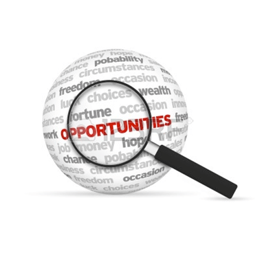 search-opportunities